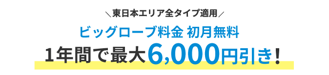 ビッグローブ料金初月無料 1年間で最大6,000円引き