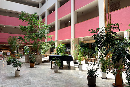 ワークスペース・ロビー・ハンモックスペース