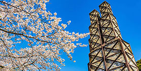 伊豆長岡温泉（静岡）