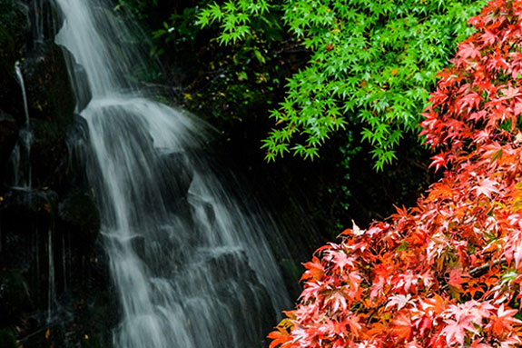 美しい絶景とマイナスイオンに癒される