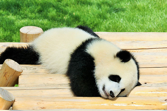 豊富な観光資源で充実のワーケーション