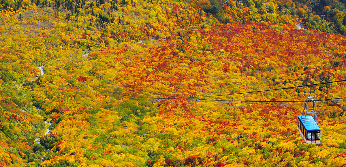 立山山麓温泉（富山）