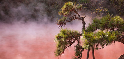 別府温泉（大分）