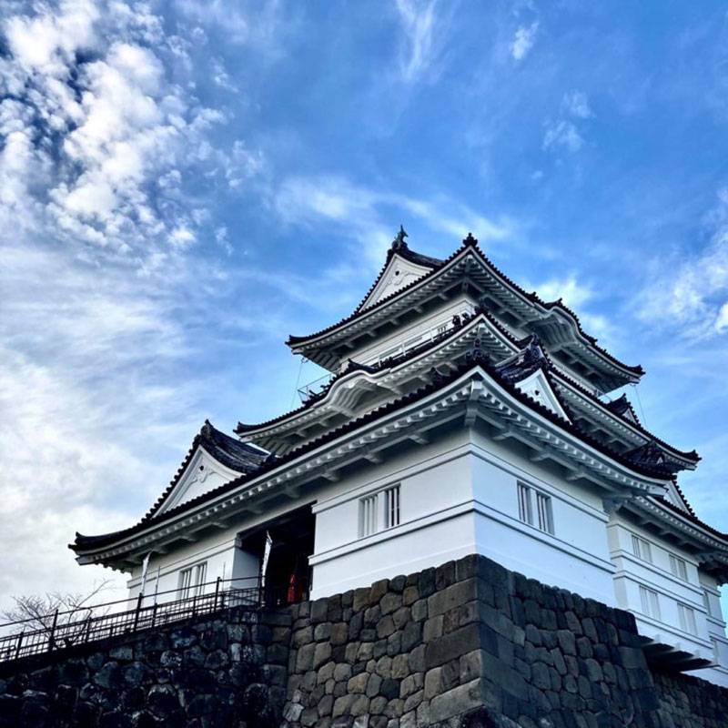 小田原城を見学