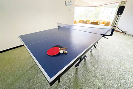 卓球台